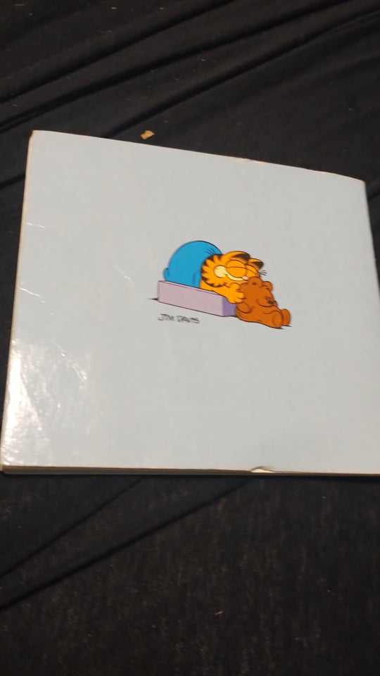 Garfield, Andet