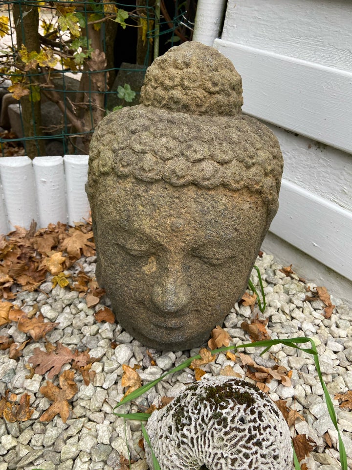 Buddha