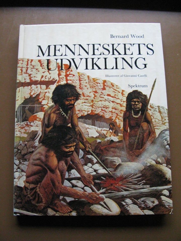 Menneskets udvikling, WOOD,