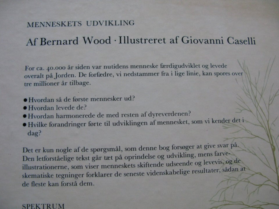 Menneskets udvikling, WOOD,