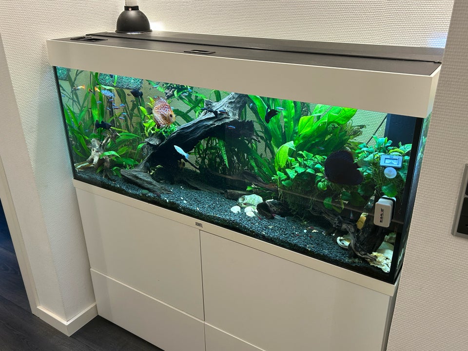 Akvarium, 240 liter