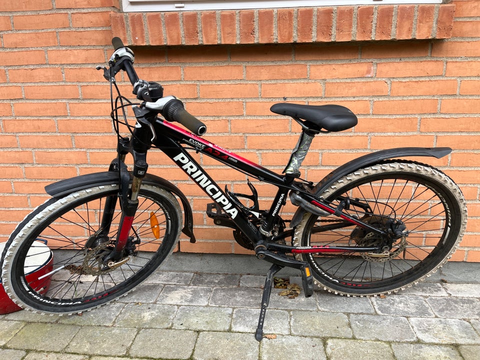 Principia A24, hardtail, 24 tommer