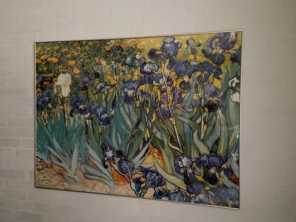 plakat, van Gogh, motiv: blå Iris