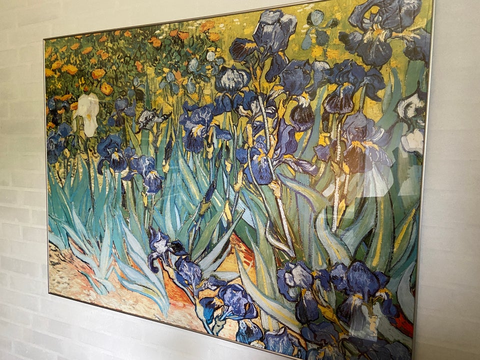 plakat, van Gogh, motiv: blå Iris