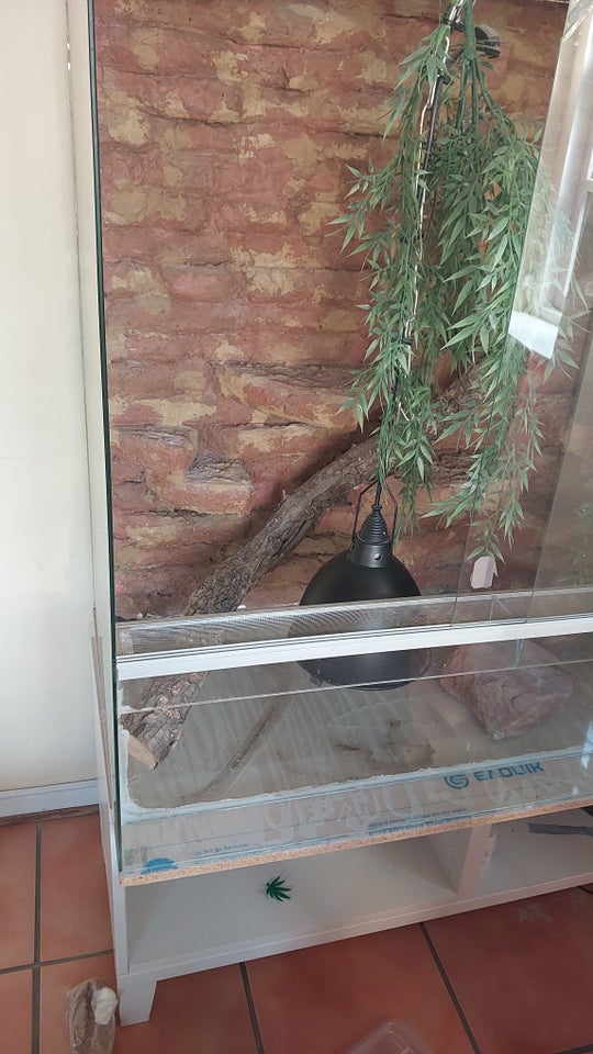 Terrarium, 300 liter, b: 100 d: 60 h: