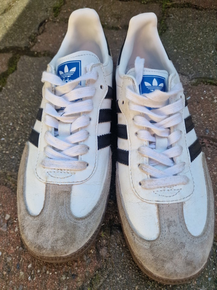 Fritidssko, str. 42, Adidas Samba