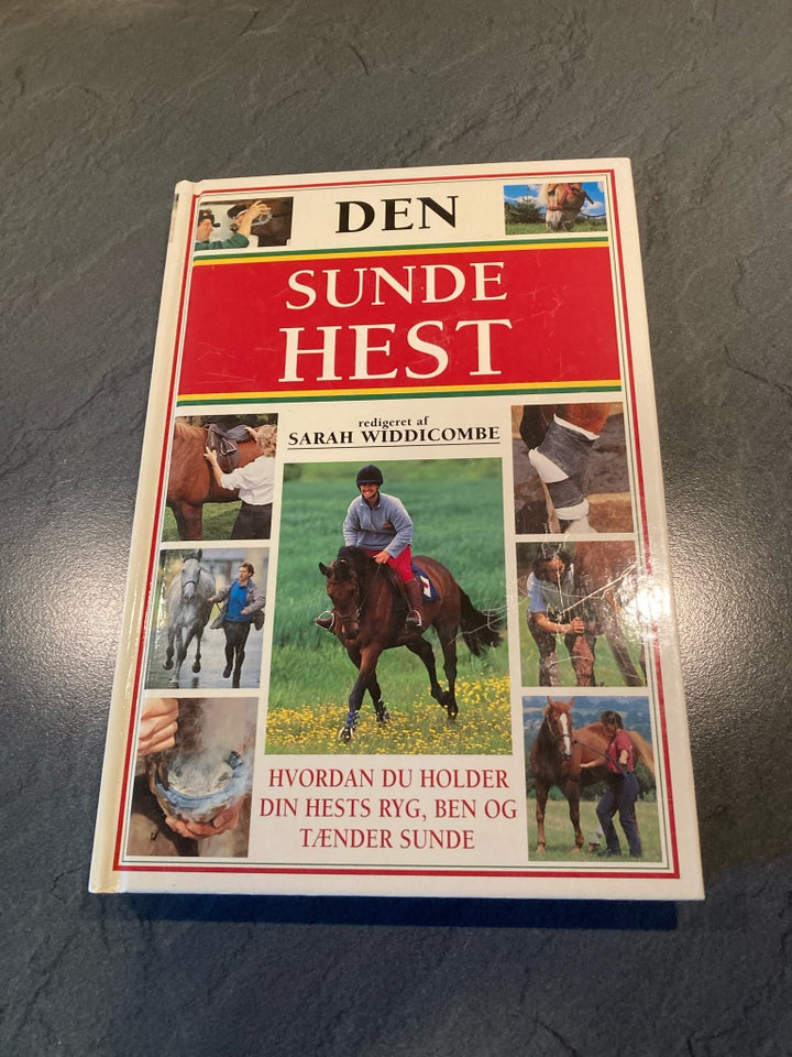 Den sunde hest, Sarah Widdicombe,