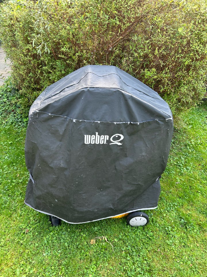 Gasgrill Weber