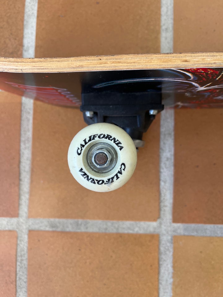 Skateboard str 79