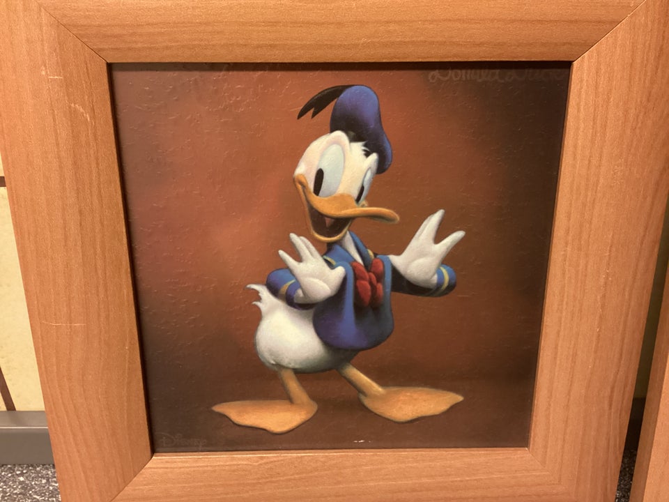 Billede, Disney : Måler 23cm X 23cm.