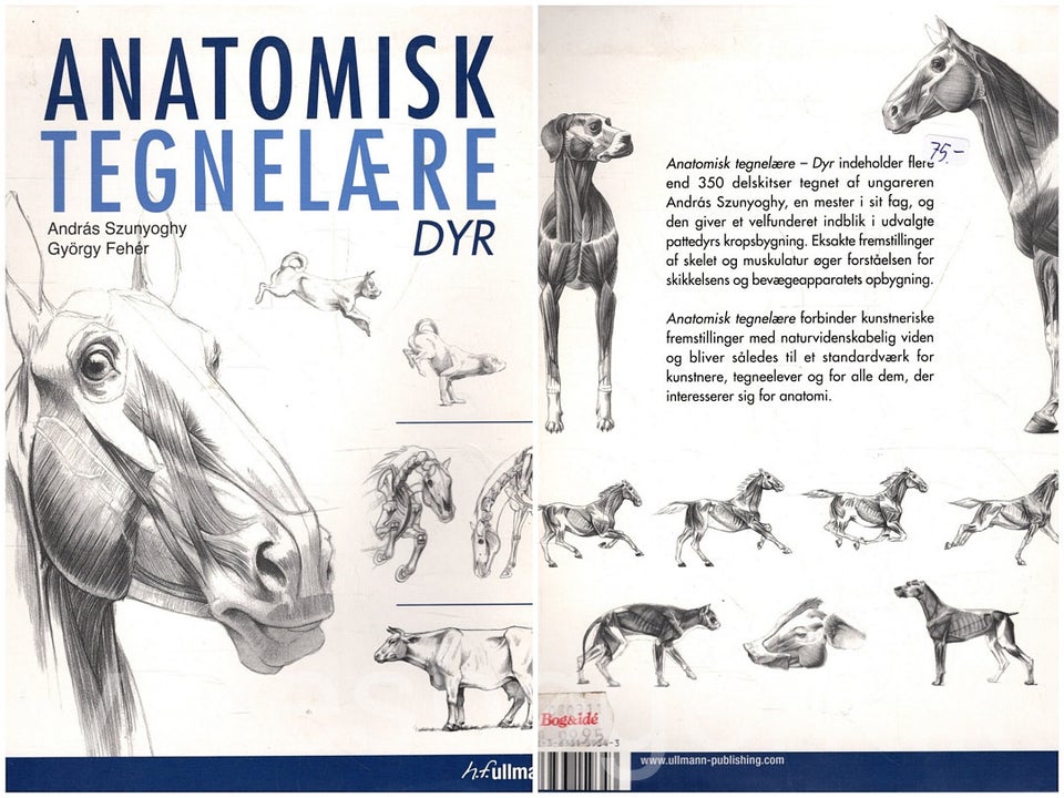 Anatomisk tegnelære - dyr., emne: