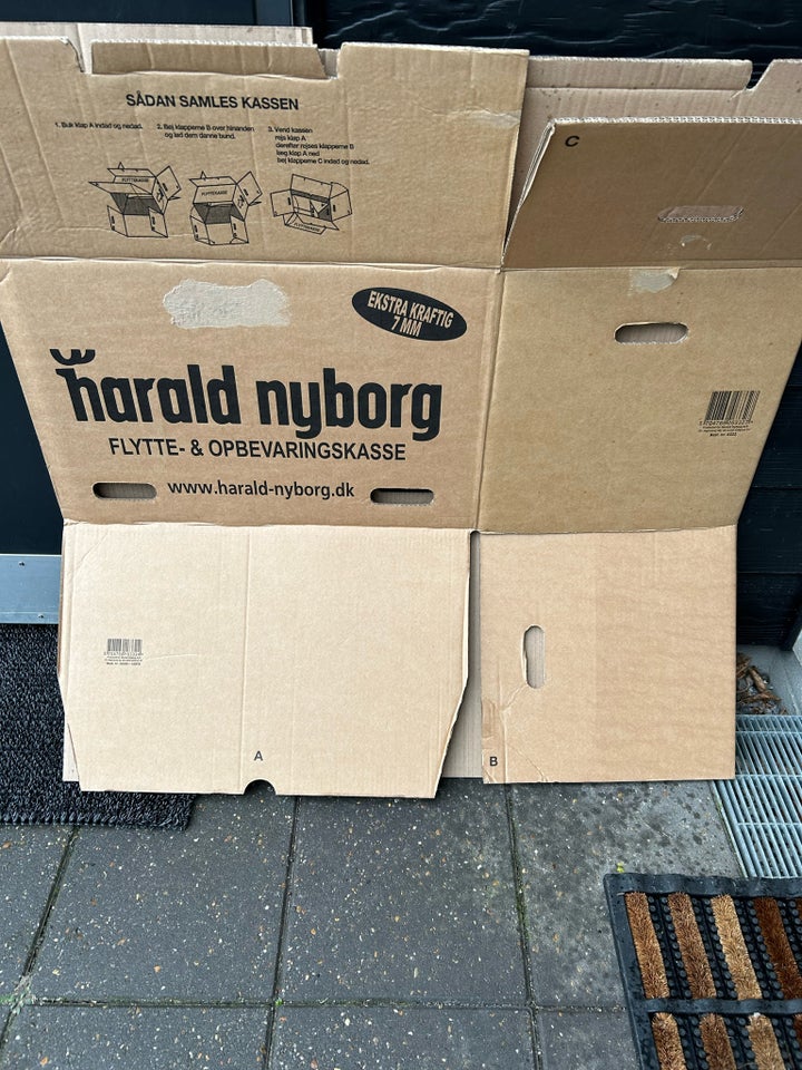 Flyttekasse, Harald Nyborg