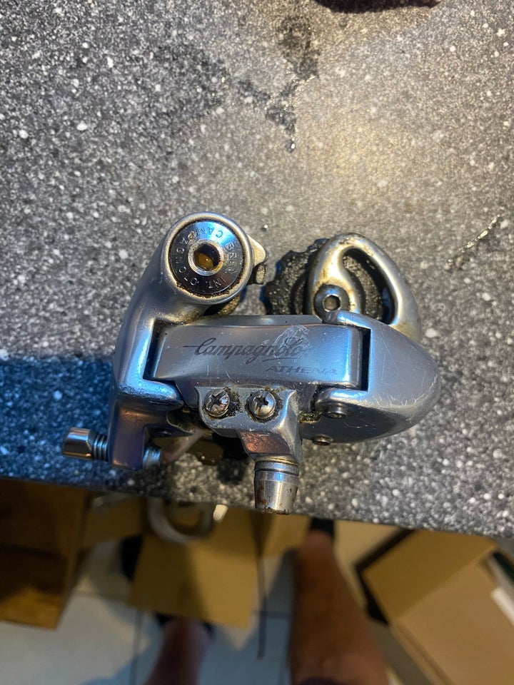 Gear Campagnolo