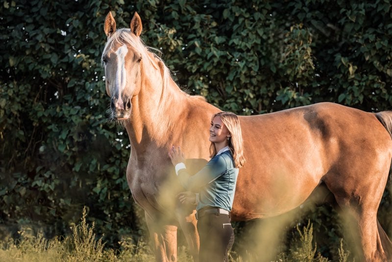 Palomino, vallak, 16 år