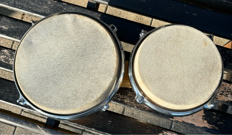 Bongos