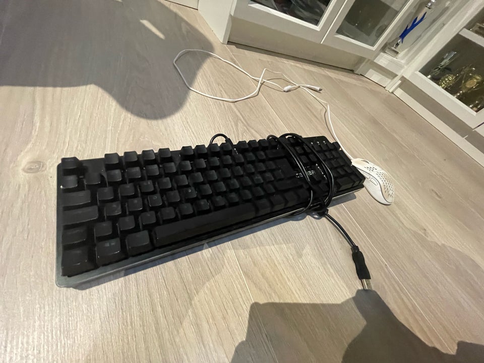 Tastatur, Cepter, 2023