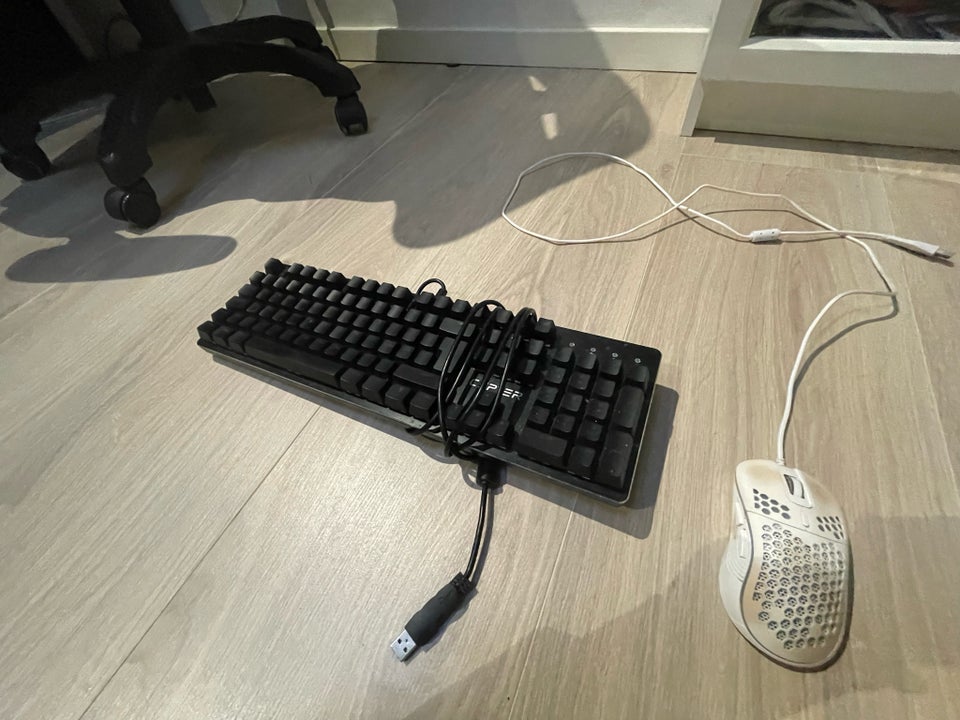 Tastatur, Cepter, 2023