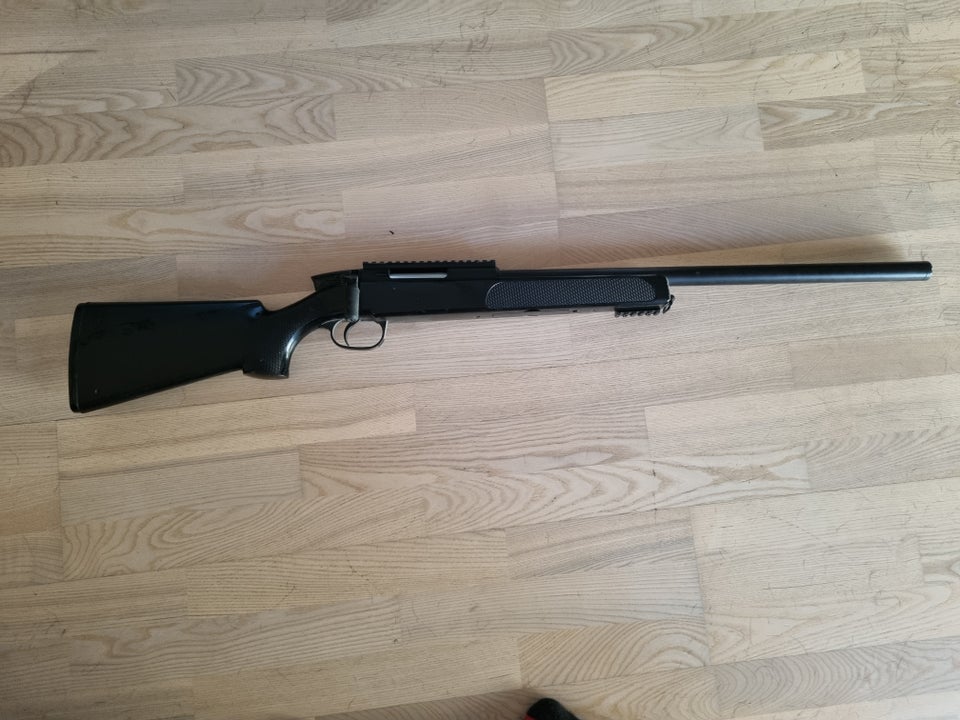 Hardballvåben, Asg steyr ssg 69 p2