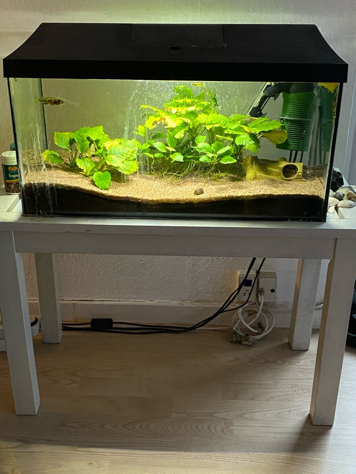 Akvarium, 54 liter