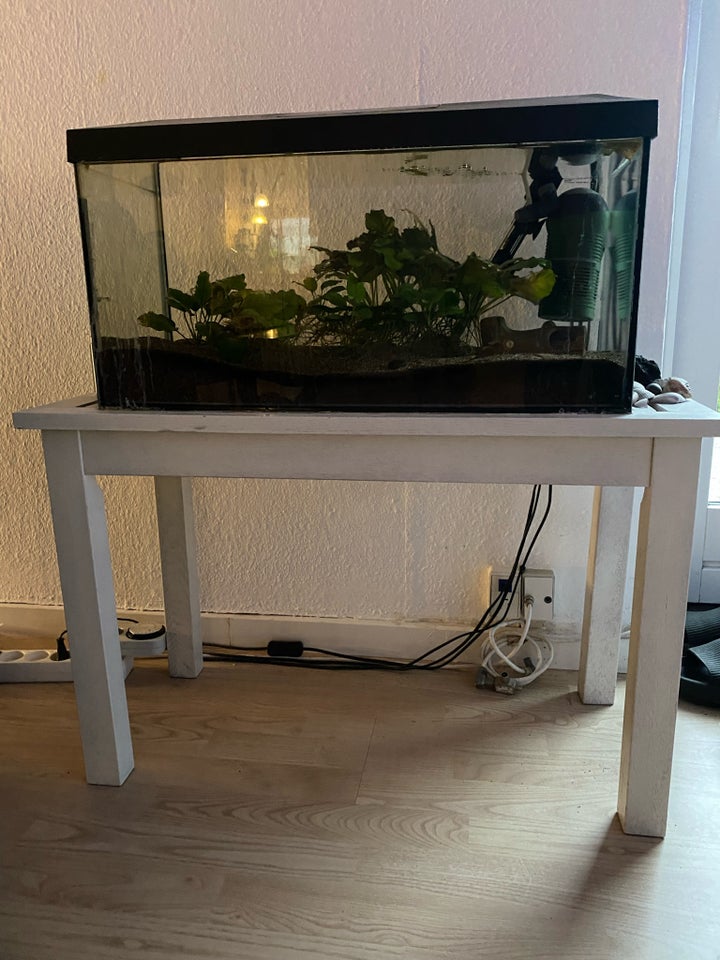 Akvarium, 54 liter