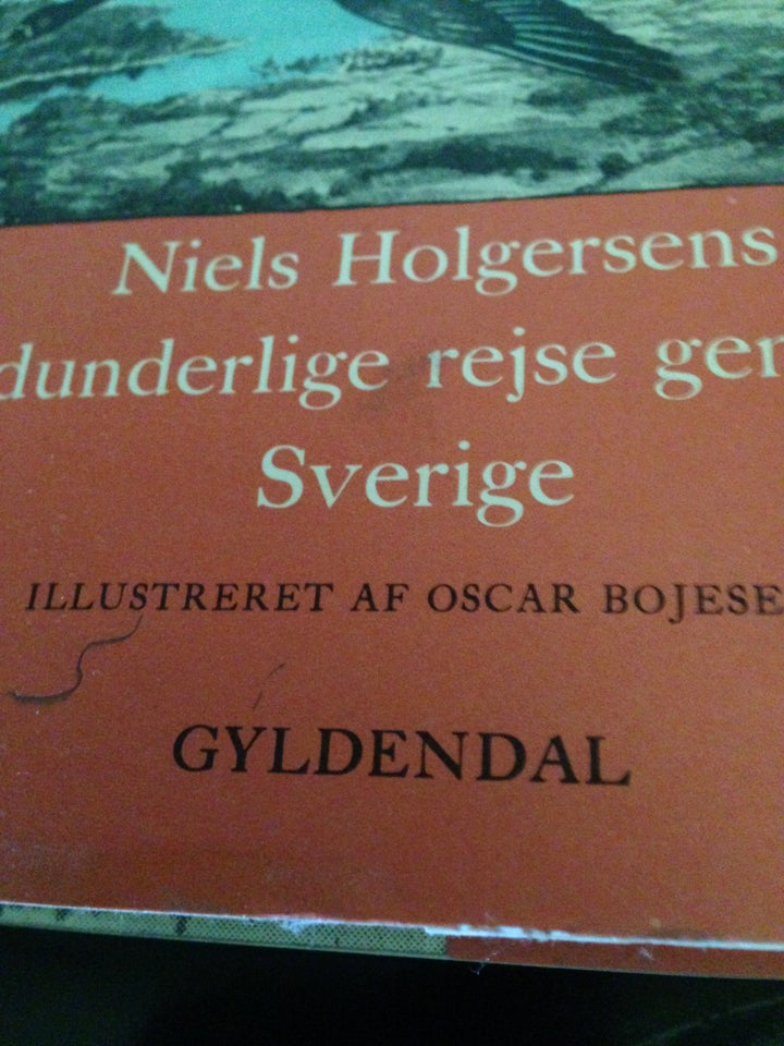 Niels Holgernsens vidunderlig