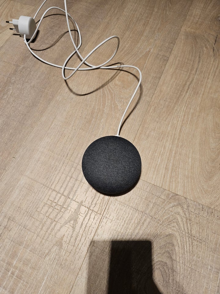 Højttaler, Google, Google home