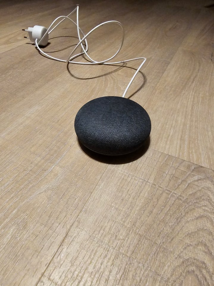 Højttaler, Google, Google home