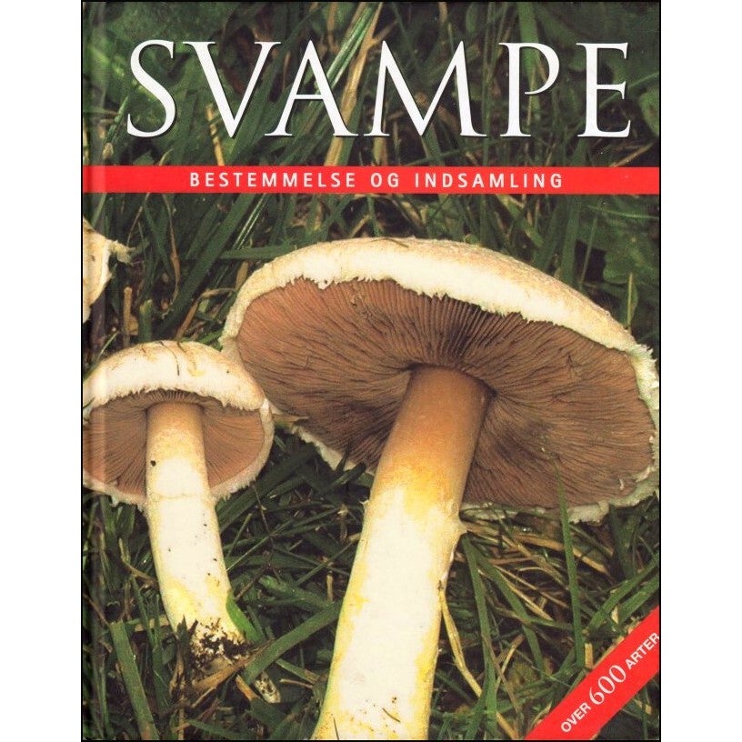 Svampe - Bestemmelse og