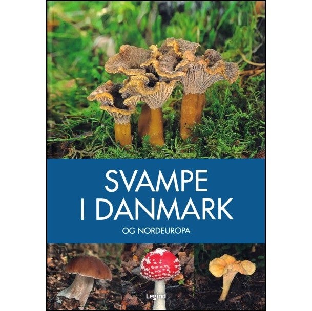 Svampe - Bestemmelse og