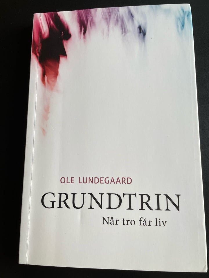 Grundtrin, Ole Lindegaard, år 2013