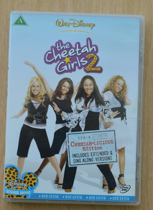 The Cheetah Girls 2, instruktør