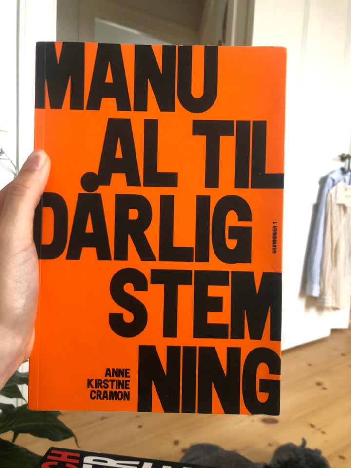 Manual til dårlig stemning, Anne