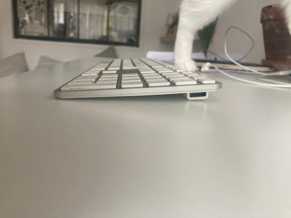 Tastatur Apple Perfekt