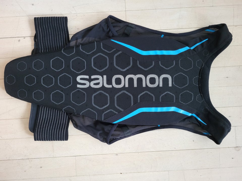 Rygskjold, SALOMON, str. XL