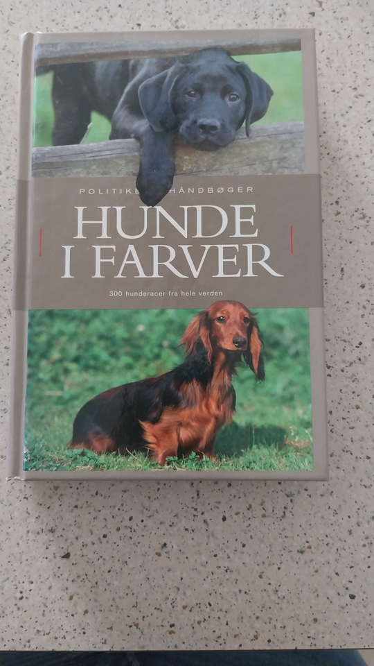 Hunde I farver, Politikken, emne: