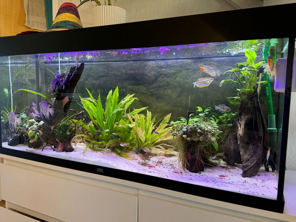 Akvarium 250 liter b: 120 d: 40 h: