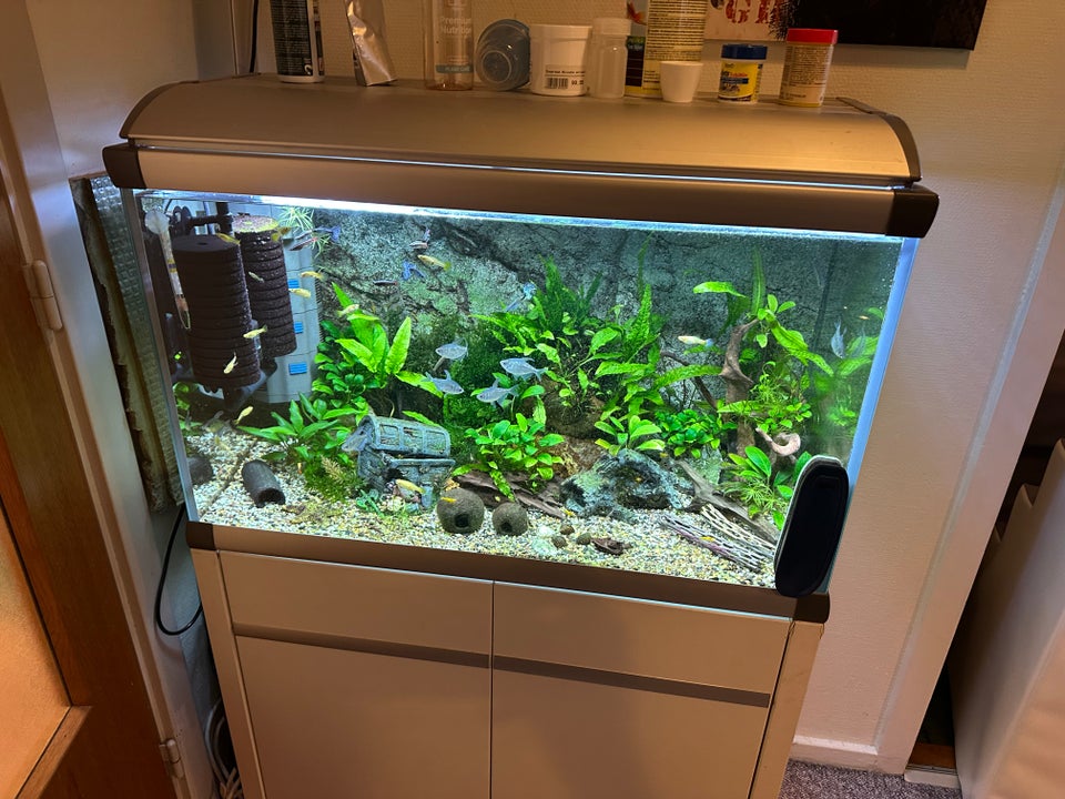 Akvarium, 160 liter