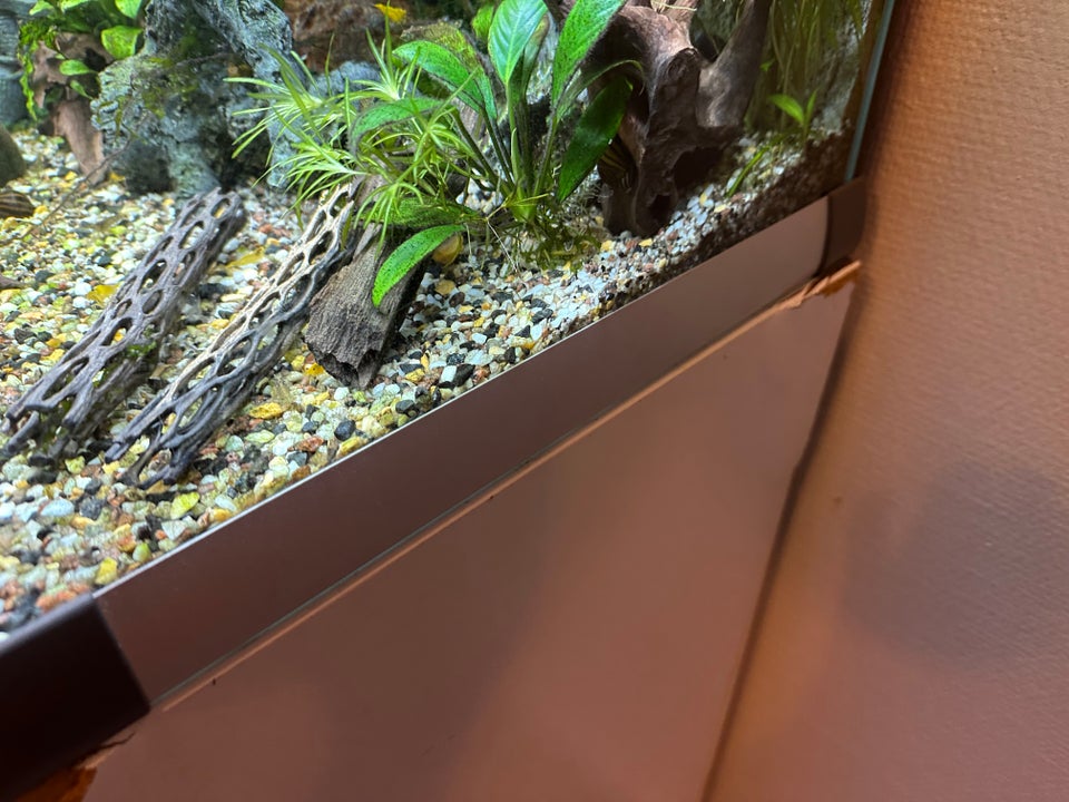 Akvarium, 160 liter