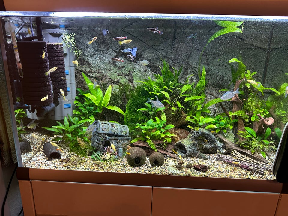 Akvarium, 160 liter