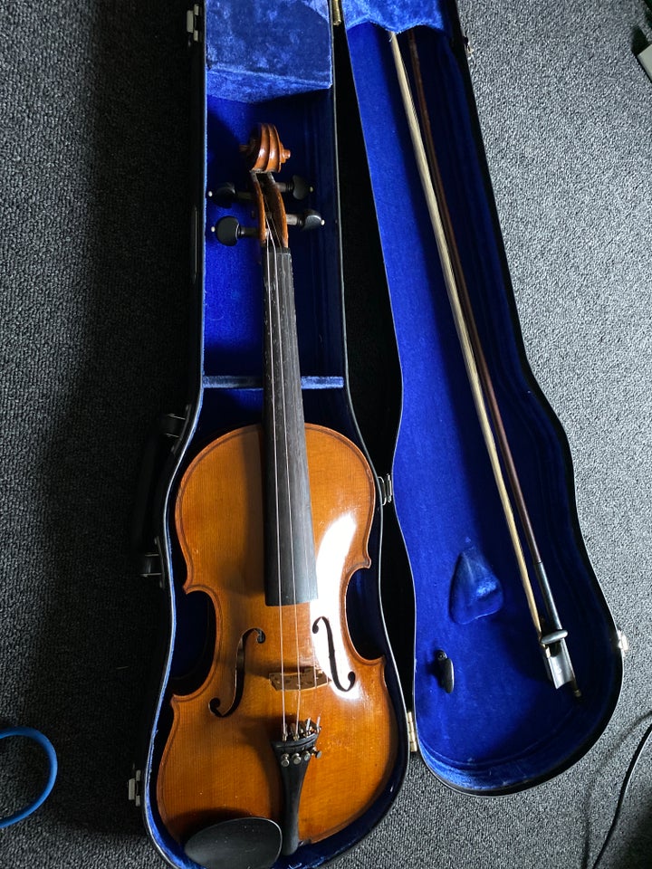 Violin