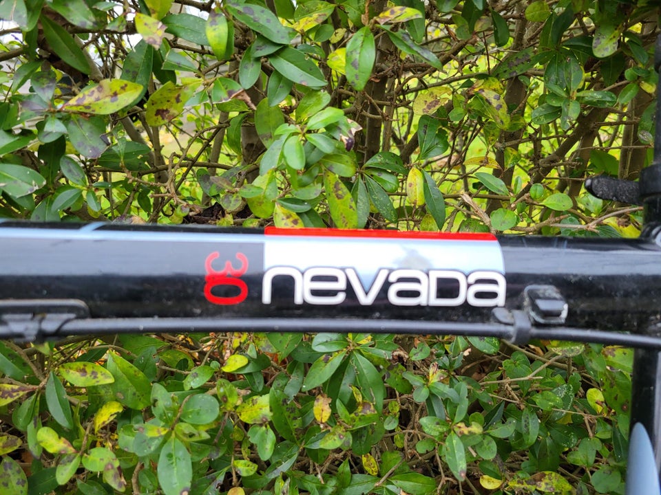 Fuji Nevada 3.0, anden