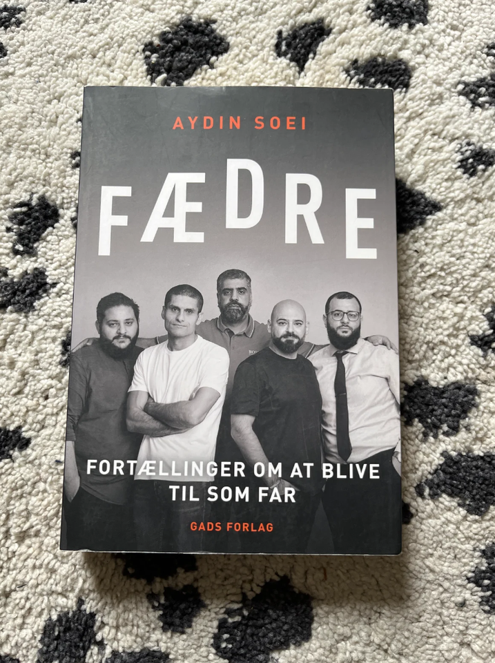 Fædre, Aydin Soei, emne: familie og