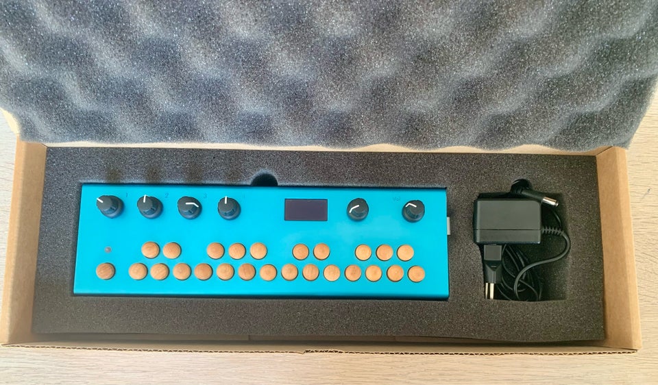 Synthesizer Critter  Guitari