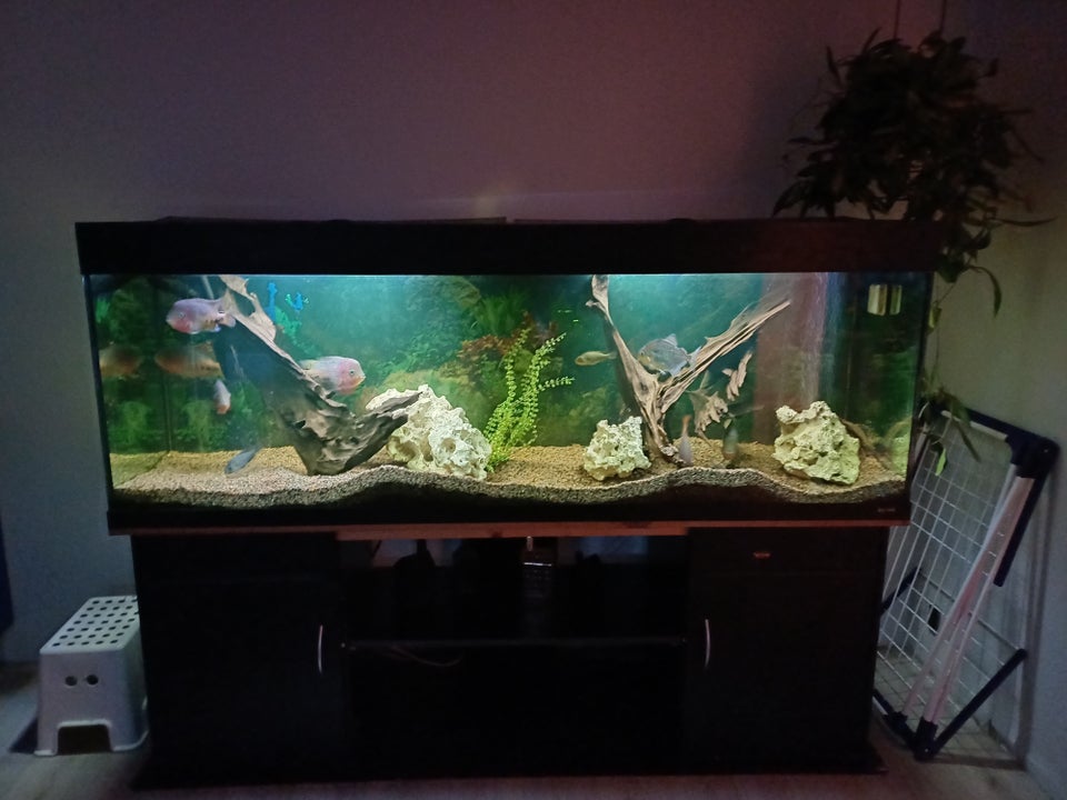 Akvarium 660 liter b: 200 d: 53 h: