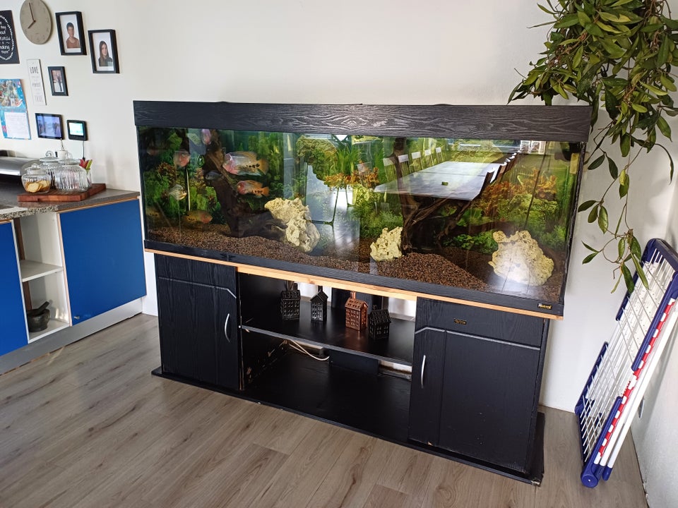 Akvarium 660 liter b: 200 d: 53 h: