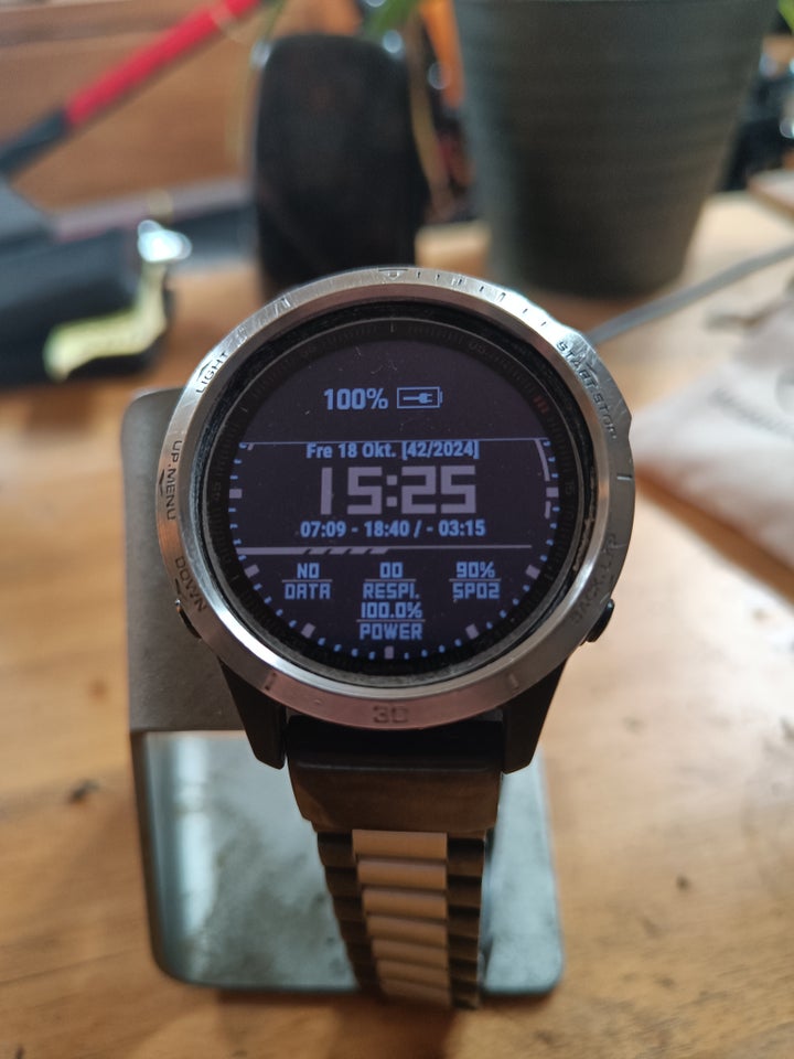 Smartwatch, Garmin