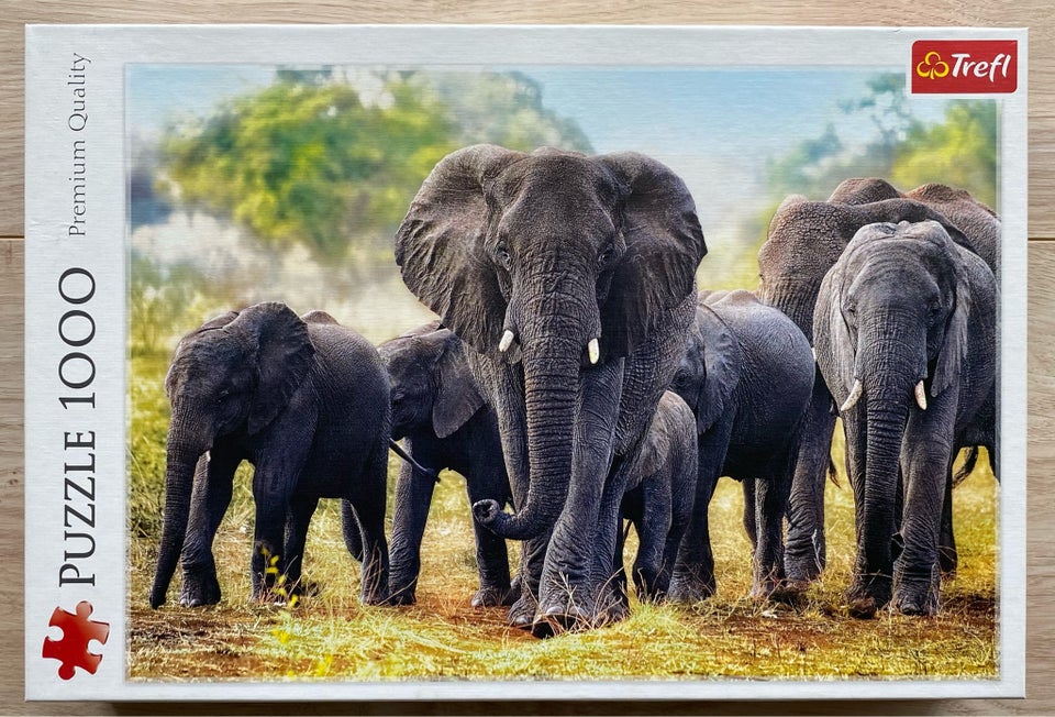 African elefants 1000 brikker