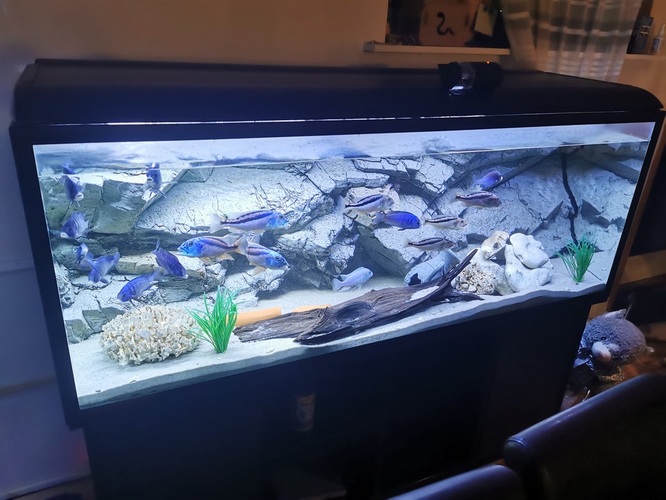 Akvarium, 530 liter