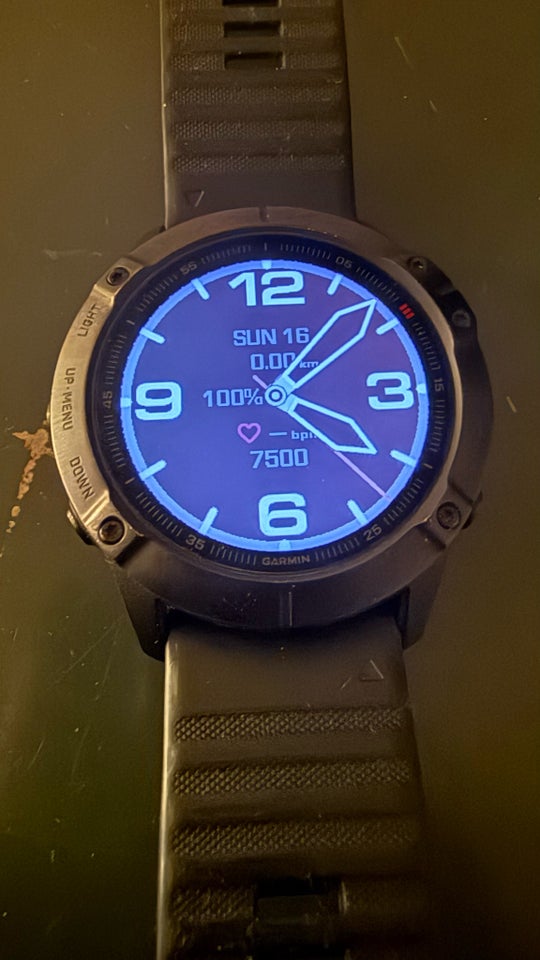 Smartwatch, Garmin