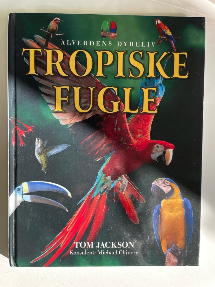 Tropiske fugle, Tom Jackson